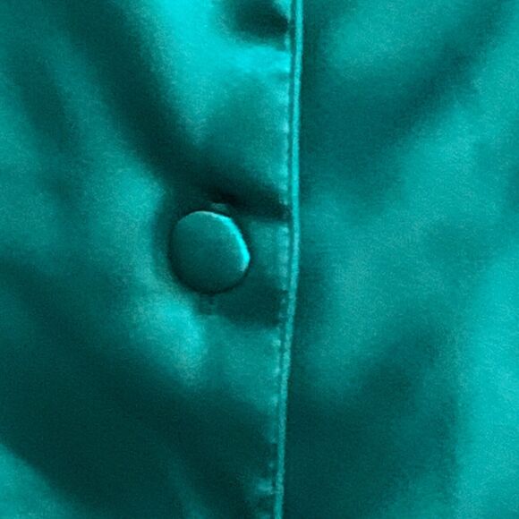 Delicates Pajama Set Womens LARGE Green Satin Long Sleeve Elastic Waist PJs - Picture 6 of 16